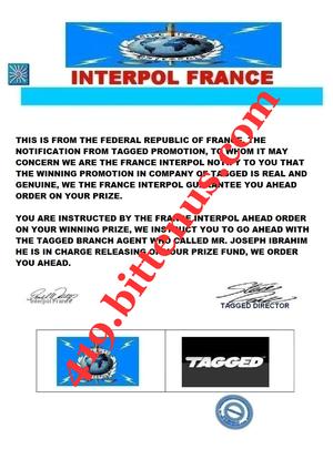 Interpol France